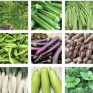 20 Variety Packets Asian Vegetable Seedsgrow Your Own Food Check Description Fresh For Garden 20 Variety Packets Asian Vegetable Seedsgrow Your Own Food Check Description Fresh For Garden