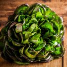 800 Seeds Bronze Mignonette Butterhead Lettuce Seeds Fresh For Garden 800 Seeds Bronze Mignonette Butterhead Lettuce Seeds Fresh For Garden