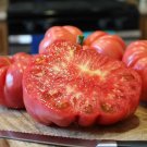 100 Delicio Tomato Seeds Fresh For Garden 100 Delicio Tomato Seeds Fresh For Garden