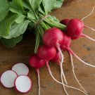 700 Seeds Cherry Belle Radish Seeds Fresh For Garden