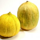 25 Crenshaw Melon Seeds Nongmo Fresh For Garden 25 Crenshaw Melon Seeds Nongmo Fresh For Garden