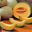 50 Delicio 51 Melon Seeds Nongmo Fresh For Garden