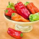 50 Cubanelle Italian Frying Pepper Seeds Fresh For Garden