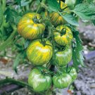 50 Green Zebra Tomato Seeds Heirloom Nongmo Fresh For Garden 50 Green Zebra Tomato Seeds Heirloom Nongmo Fresh For Garden