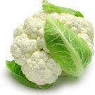 250 Self Blanching Cauliflower Seeds Fresh For Garden 250 Self Blanching Cauliflower Seeds Fresh For Garden