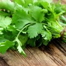 100 Cilantro Coriander Seeds Common Type Fresh For Garden