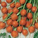350 Parisian Carrot Seeds Fresh For Garden