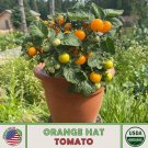 10 Orange Hat Micro Dwarf Tomato Seeds Organic Openpollinated Nongmo Fresh For Garden 10 Orange Hat Micro Dwarf Tomato Seeds Organic Openpollinated Nongmo Fresh For Garden