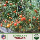 10 Kozula 14 Multiflora Tomato Seeds Organic Openpollinated Nongmo Fresh For Garden 10 Kozula 14 Multiflora Tomato Seeds Organic Openpollinated Nongmo Fresh For Garden