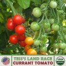 10 Tesss Land Race Currant Tomato Seeds Organic Openpollinated Nongmo Fresh For Garden