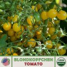 10 Blondkopfchen Tomato Seeds Organic Heirloom Nongmo Genuine Fresh For Garden