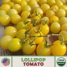 10 Lollipop Tomato Seeds Organic Openpollinated Nongmo Genuine Fresh For Garden