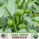 200 Toma Verde Tomatillo Seeds Organic Nongmo Genuine Fresh For Garden