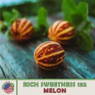20 Rich Sweetness 132 Melon Seeds Heirloom Nongmo Genuine Fresh For Garden