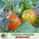 50 Turkish Orange Eggplant Seeds Solanum Aethiopicum Nongmo Genuine Fresh For Garden
