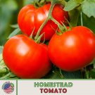 10 Organic Homestead Tomato Seeds Heirloom Heat Resistant Genuine Fresh For Garden 10 Organic Homestead Tomato Seeds Heirloom Heat Resistant Genuine Fresh For Garden