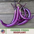 25 Chinese String Eggplant Seeds Solanum Melongena Organic Nongmo Fresh For Garden