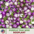 20 Purple Thamineggplant Seeds Solanum Macrocarpon Nongmo Genuine A Fresh For Garden