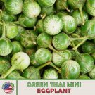 20 Green Thamineggplant Seeds Solanum Macrocarpon Nongmo Genuine A Fresh For Garden
