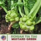 100 Seeds Sichuan Tsa Tsamtard Seeds Zha Caswollen Stem Mtard Genuine A Fresh For Garden