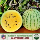 10 Organic Early Moonbeam Watermelon Seeds Heirloom Nongmo Genuine A Fresh For Garden