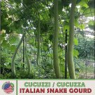 10 Cucuzzitalian Snake Gourd Seeds Cucuzza Heirloom Nongmo Genuine A Fresh For Garden