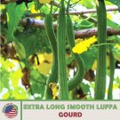 10 Extra Long Smooth Luffa Gourd Seeds Openpollinated Genuine A Fresh For Garden 10 Extra Long Smooth Luffa Gourd Seeds Openpollinated Genuine A Fresh For Garden