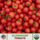 10 Oldendorf Tomato Seeds Organic Openpollinated Nongmo Fresh For Garden