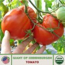 10 Giant Of Siebenburgen Tomato Seeds Organic Openpollinated Nongmo Fresh For Garden 10 Giant Of Siebenburgen Tomato Seeds Organic Openpollinated Nongmo Fresh For Garden