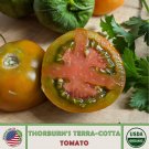 10 Thorburns Terracotta Tomato Seeds Organic Openpollinated Nongmo Fresh For Garden