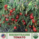 10 Riesentraube Tomato Seeds Organic Openpollinated Nongmo Fresh For Garden
