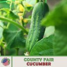20 County Fair Cucumber Seeds Hybrid Genuine A Fresh For Garden 20 County Fair Cucumber Seeds Hybrid Genuine A Fresh For Garden
