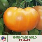 10 Mountain Gold Tomato Seeds Heirloom Nongmo Genuine A Fresh For Garden 10 Mountain Gold Tomato Seeds Heirloom Nongmo Genuine A Fresh For Garden