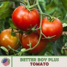 10 Better Boy Pl Tomato Seeds Hybrid Nongmo Genuine A Fresh For Garden 10 Better Boy Pl Tomato Seeds Hybrid Nongmo Genuine A Fresh For Garden