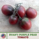 10 Evans Purple Pear Tomato Seeds Heirloom Nongmo Genuine A Fresh For Garden 10 Evans Purple Pear Tomato Seeds Heirloom Nongmo Genuine A Fresh For Garden