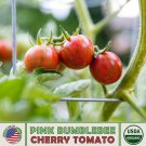 20 Pink Bumblebee Cherry Tomato Seeds Organic Artisan Delicio Fresh For Garden 20 Pink Bumblebee Cherry Tomato Seeds Organic Artisan Delicio Fresh For Garden