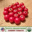 10 Rosita Brandywine Cherry Tomato Seeds Organic Openpollinated Genuine A Fresh For Garden 10 Rosita Brandywine Cherry Tomato Seeds Organic Openpollinated Genuine A Fresh For Garden