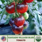 10 Cascade Village Blue Tomato Seeds Organic Nongmo Genuine A Fresh For Garden