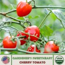 10 Gardeners Sweetheart Cherry Tomato Seeds Organic Nongmo Genuine A Fresh For Garden