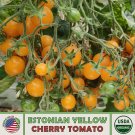 10 Estonian Yellow Cherry Tomato Seeds Multiflora Organic Genuine A Fresh For Garden