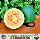 10 Sweet Siberian Watermelon Seeds Heirloom Nongmo Genuine Fresh For Garden
