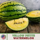 10 Yellow Petite Watermelon Seeds Heirloom Nongmo Genuine Fresh For Garden