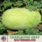 10 Charleston Gray Watermelon Seeds Heirloom Nongmo Genuine Fresh For Garden 10 Charleston Gray Watermelon Seeds Heirloom Nongmo Genuine Fresh For Garden