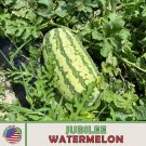 10 Jubilee Watermelon Seeds Heirloom Nongmo Genuine Fresh For Garden 10 Jubilee Watermelon Seeds Heirloom Nongmo Genuine Fresh For Garden