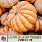 10 Long Island Cheese Pumpkin Squash Seeds Heirloom Nongmo Genuine Fresh For Garden 10 Long Island Cheese Pumpkin Squash Seeds Heirloom Nongmo Genuine Fresh For Garden