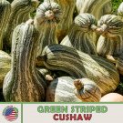 10 Green Striped Chaw Pumpkin Squash Seeds Heirloom Nongmo Genuine Fresh For Garden 10 Green Striped Chaw Pumpkin Squash Seeds Heirloom Nongmo Genuine Fresh For Garden