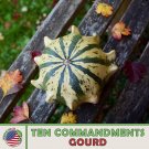 10 Ten Commandments Crown Of Thorns Gourd Seeds Heirloom Nongmo Genuine Fresh For Garden 10 Ten Commandments Crown Of Thorns Gourd Seeds Heirloom Nongmo Genuine Fresh For Garden