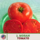 10 J Moran Tomato Seeds Heirloom Nongmo Genuine Fresh For Garden 10 J Moran Tomato Seeds Heirloom Nongmo Genuine Fresh For Garden