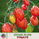 10 Sugar Plum Tomato Seeds Hybrid Nongmo Genuine Fresh For Garden 10 Sugar Plum Tomato Seeds Hybrid Nongmo Genuine Fresh For Garden