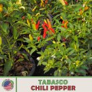 50 Tabasco Chilpepper Seeds Heirloom Non Gmo Genuine Fresh For Garden